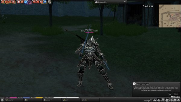 mabinogi 2010 02 14 006