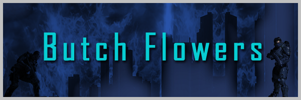 BFlow2 copy