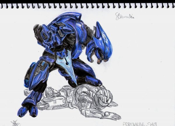 Sangheili 2