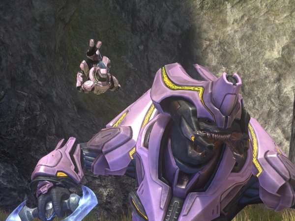 Tier 1 Pink elites