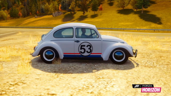 Herbie Side