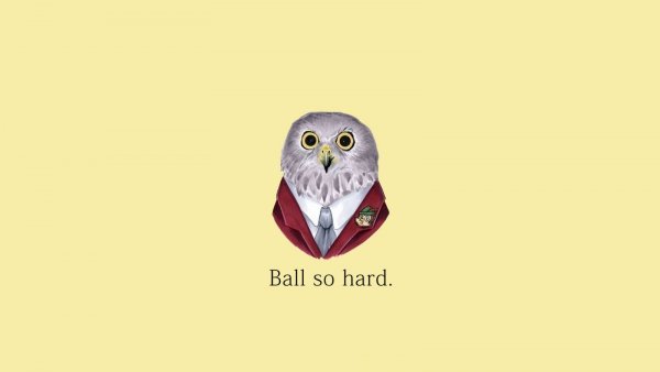 Owl ball So hard