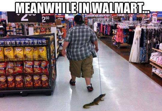 walmartdog