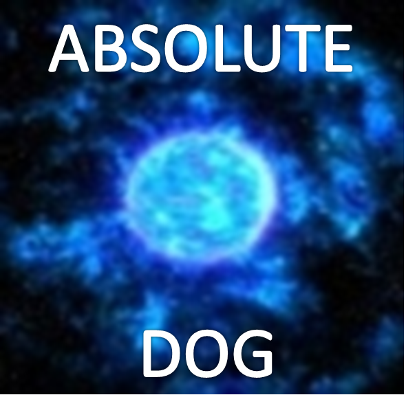 Absolute Dog
