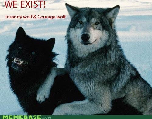 memes insanity wolf courage wolf