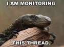 MoniterLizard