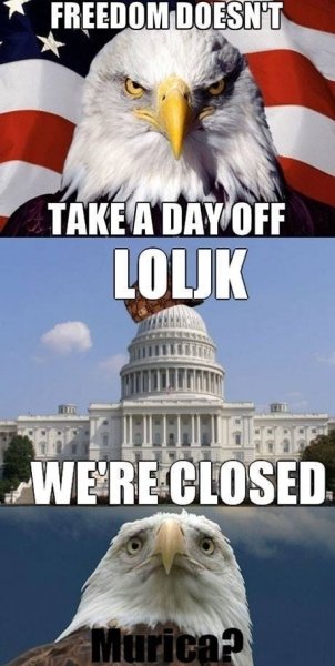 funny picture america freedom shutdown murica