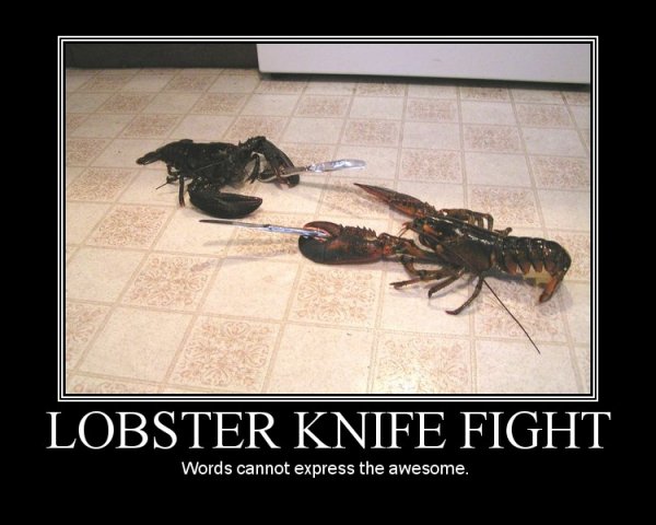 lobsters fighting with knives 353
