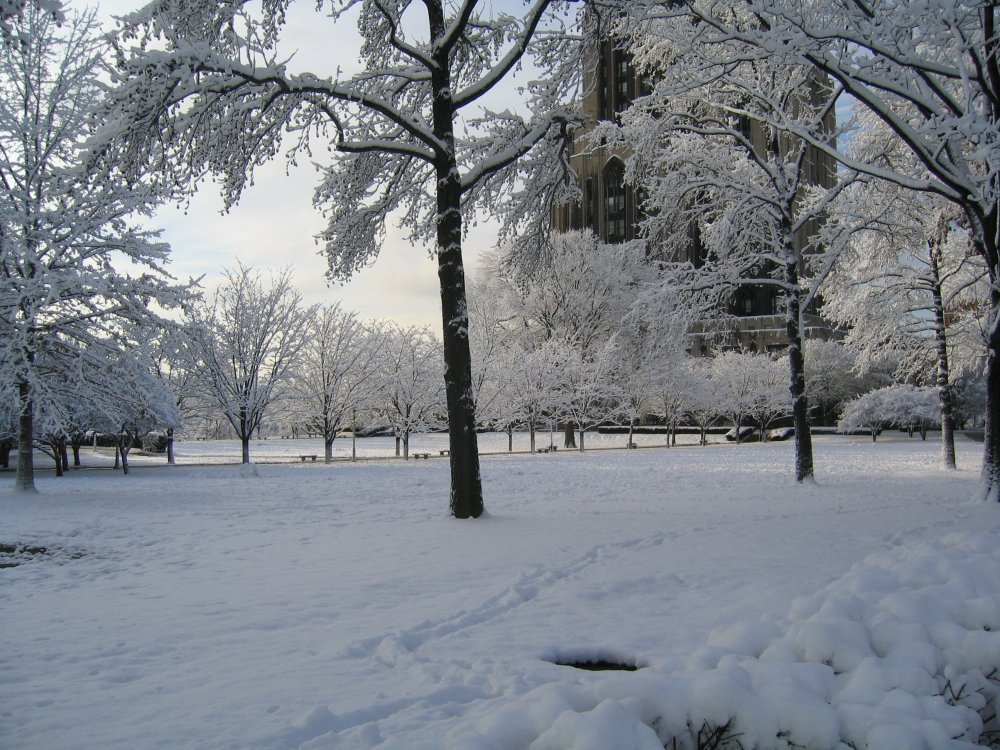 CathedralofLearningLawinWinter.jpg