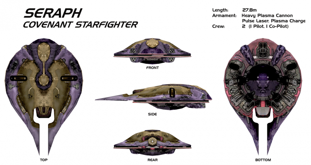 HRS___Seraph_Starfighter_by_TroopaK.png