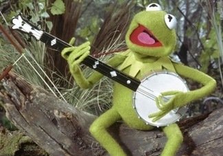 Kermit_banjo.jpg