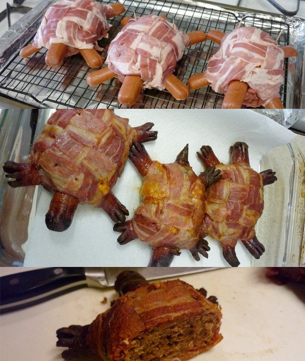 baconturtle.jpg