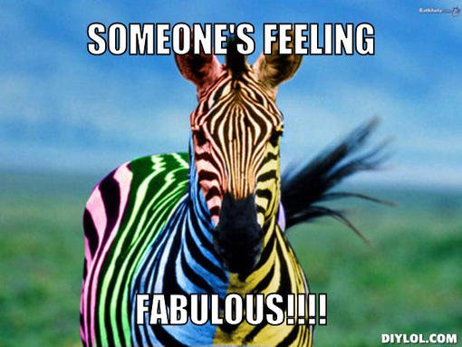 fabulous-zebra-meme-generator-someone-s-