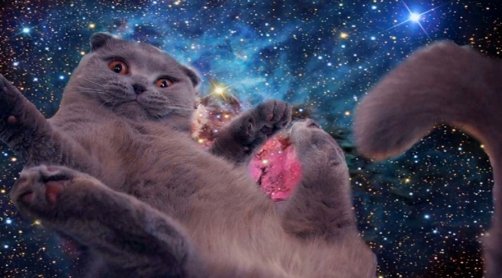 space_cats.jpg