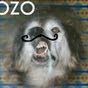 OzoGB