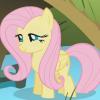 Fluttershy