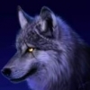 loneXwolf06